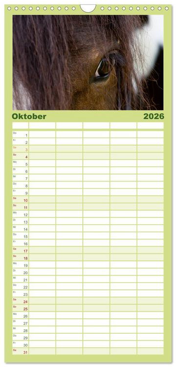 Produktbild: Familienplaner 2026 - Irish Tinker mit 5 Spalten (Wandkalender, 21 x 45 cm) CALVENDO