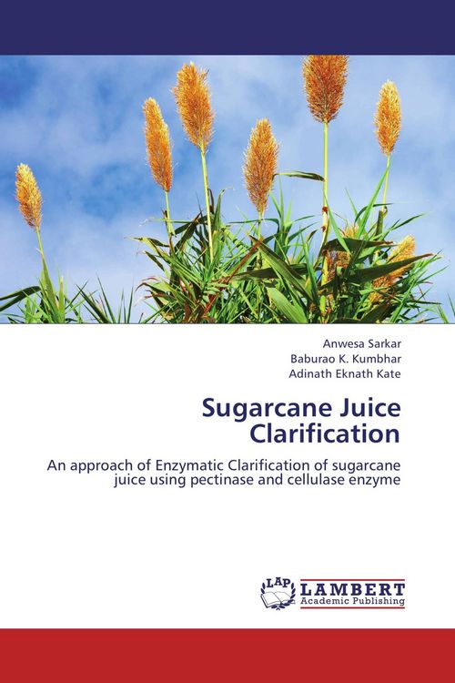 Produktbild: Sugarcane Juice Clarification