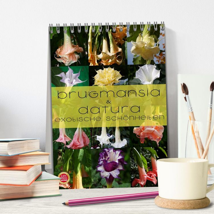 Produktbild: Brugmansia & Datura - Exotische Sch&ouml;nheiten (Tischkalender 2026 DIN A5 hoch), CALVENDO Monatskalender