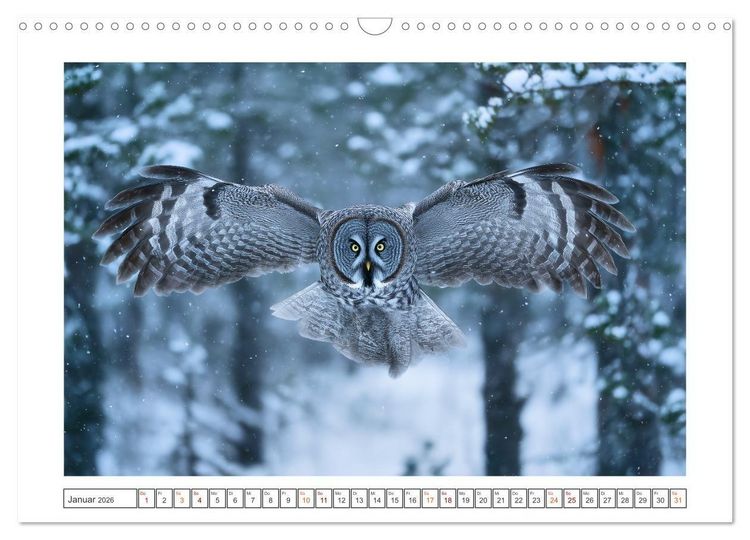 Produktbild: Magie der Wildnis (Wandkalender 2026 DIN A3 quer), CALVENDO Monatskalender
