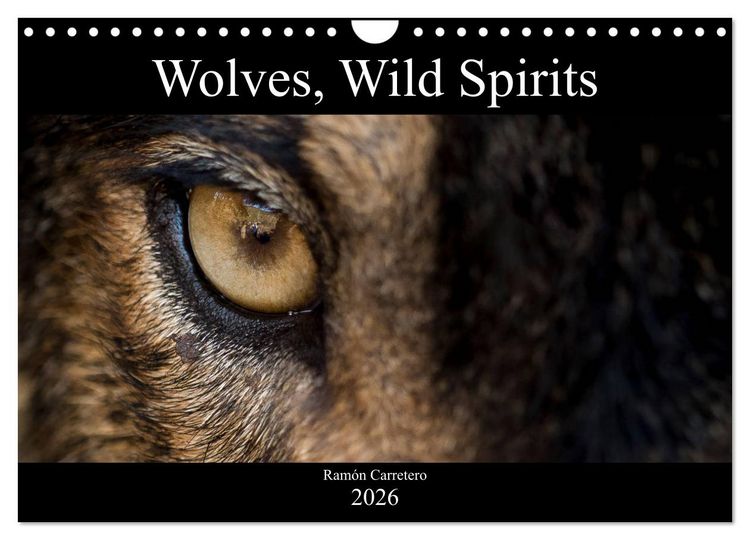 Produktbild: Wolves, Wild Spirits (Wall Calendar 2026 DIN A4 landscape), CALVENDO 12 Month Wall Calendar