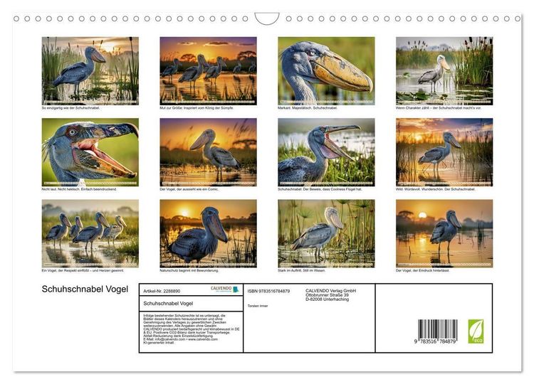 Produktbild: Schuhschnabel Vogel (Wandkalender 2027 DIN A3 quer), CALVENDO Monatskalender