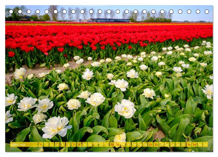 Produktbild: Feeling Holland (Tischkalender 2026 DIN A5 quer), CALVENDO Monatskalender