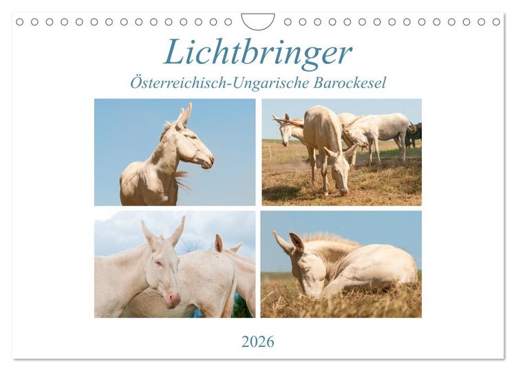 Produktbild: Lichtbringer - &Ouml;sterreichisch-Ungarische Barockesel (Wandkalender 2026 DIN A4 quer), CALVENDO Monatskalender