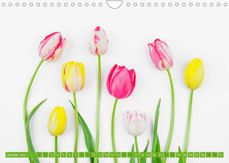 Produktbild: Tulpen f&uuml;r das ganze Jahr (Wandkalender 2022 DIN A4 quer)
