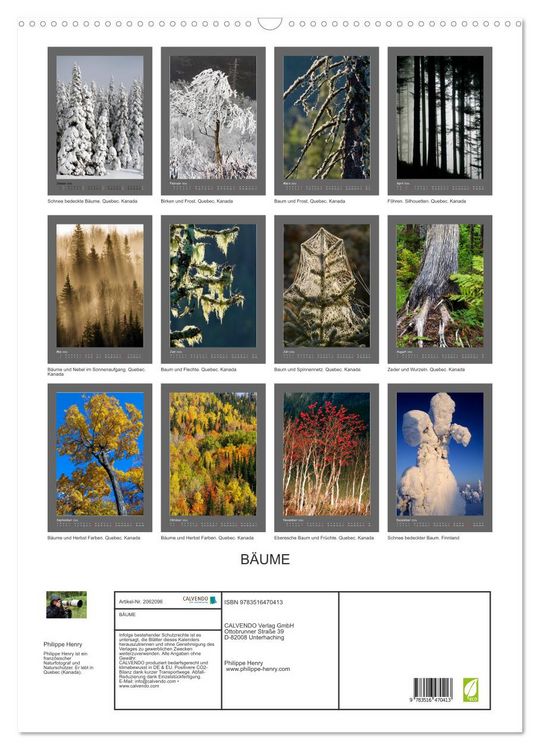 Produktbild: B&Auml;UME (Wandkalender 2026 DIN A2 hoch), CALVENDO Monatskalender