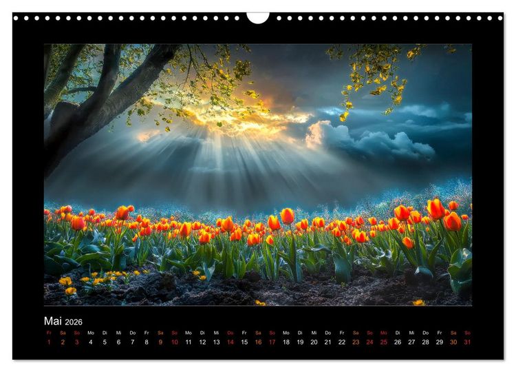 Produktbild: Im Wechselspiel der Jahreszeiten (Wandkalender 2026 DIN A3 quer), CALVENDO Monatskalender