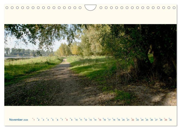 Produktbild: Am Rhein - Urdenbacher K&auml;mpe (Wandkalender 2026 DIN A4 quer), CALVENDO Monatskalender