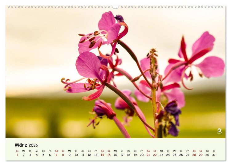 Produktbild: Entdecke den Yukon (Wandkalender 2026 DIN A2 quer), CALVENDO Monatskalender