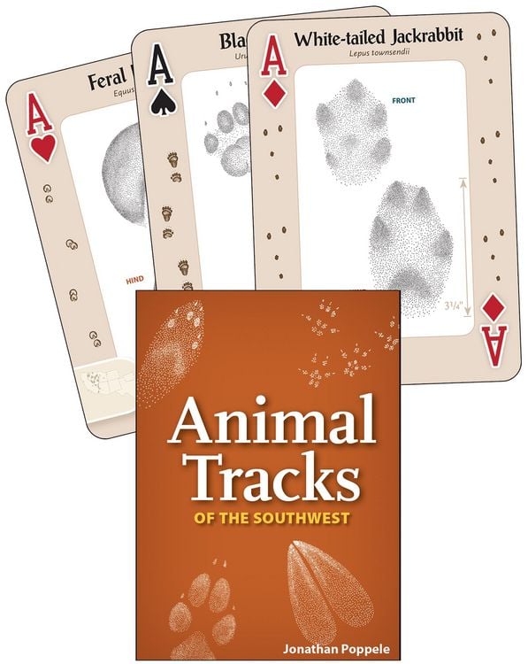 Produktbild: Animal Tracks of the Southwest Playing Cards