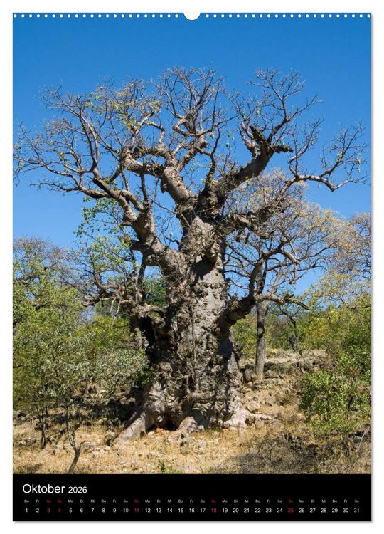 Produktbild: Faszination Namibia (hochwertiger Premium Wandkalender 2026 DIN A2 hoch), Kunstdruck in Hochglanz