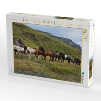 Produktbild: CALVENDO Puzzle Islandpferdeherde | 1000 Teile Lege-Gr&ouml;&szlig;e 64x48cm Foto-Puzzle f&uuml;r gl&uuml;ckliche Stunden