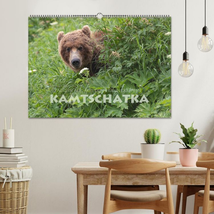 Produktbild: Aug in Aug mit den Braunb&auml;ren in Kamtschatka (Wandkalender 2026 DIN A2 quer), CALVENDO Monatskalender