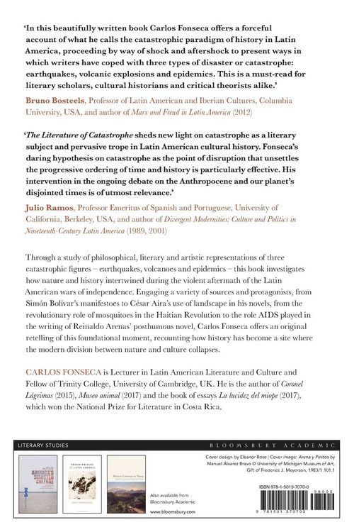 Produktbild: The Literature of Catastrophe