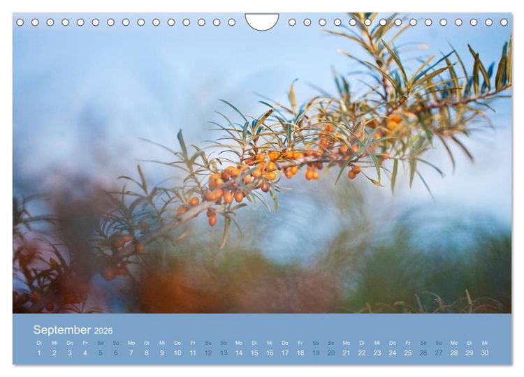 Produktbild: Farbwechsel - Die Farben der vier Jahreszeiten (Wandkalender 2026 DIN A4 quer), CALVENDO Monatskalender