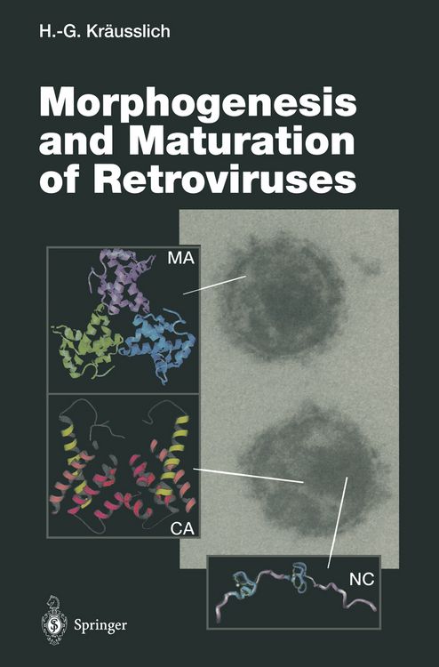 Produktbild: Morphogenesis and Maturation of Retroviruses