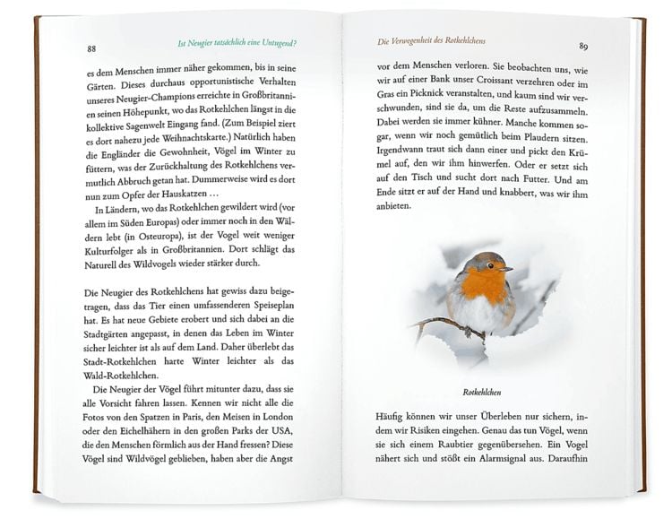Produktbild: Kleine Philosophie der V&ouml;gel