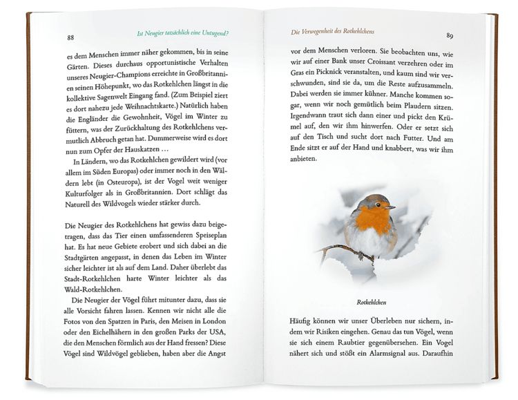 Produktbild: Kleine Philosophie der V&ouml;gel