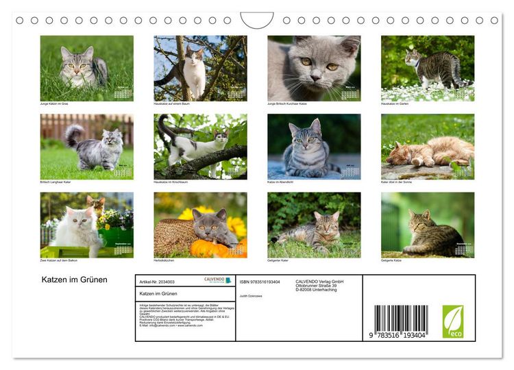 Produktbild: Katzen im Gr&uuml;nen (Wandkalender 2026 DIN A4 quer), CALVENDO Monatskalender