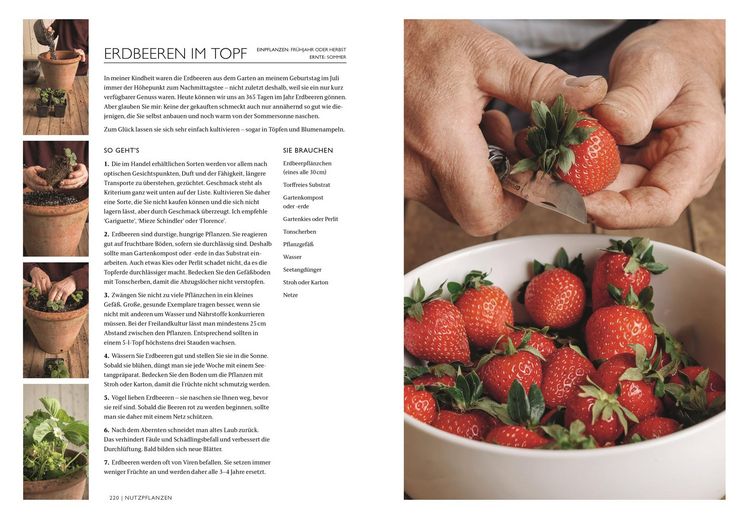 Produktbild: Das Gartenbuch