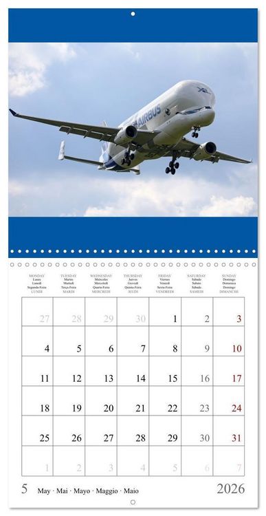 Produktbild: Gayde, F: Airplanes in the blue sky (Wall Calendar 2026 12 &times;