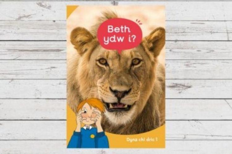Produktbild: Dyna Chi Dric: Beth Ydw I?