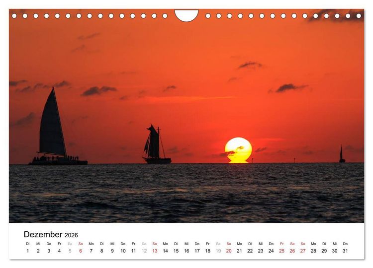 Produktbild: Unter der Sonne Floridas (Wandkalender 2026 DIN A4 quer), CALVENDO Monatskalender