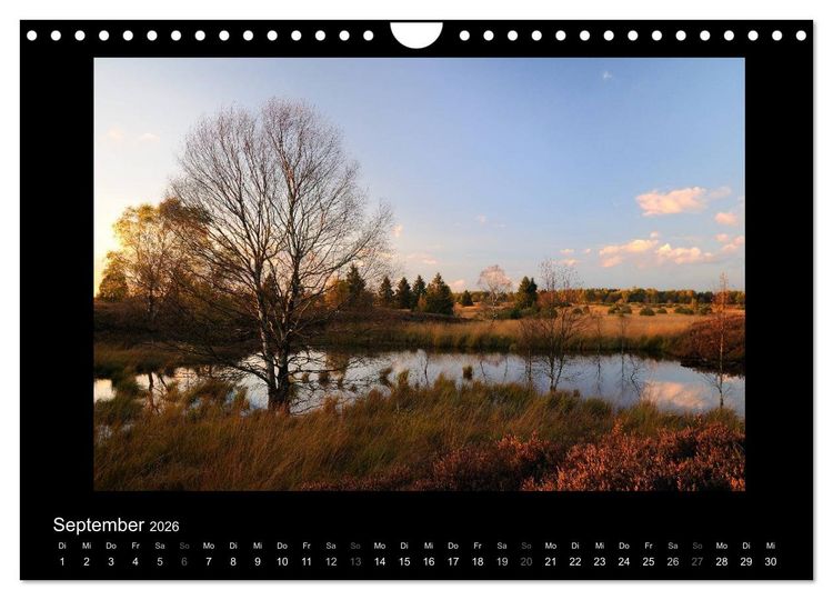 Produktbild: Hohes Venn und Ardennen (Wandkalender 2026 DIN A4 quer), CALVENDO Monatskalender
