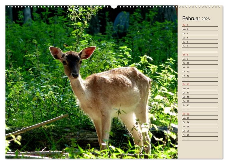 Produktbild: Bad Orb - Romantik im Spessart (hochwertiger Premium Wandkalender 2026 DIN A2 quer), Kunstdruck in Hochglanz