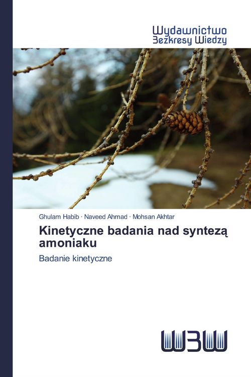 Produktbild: Kinetyczne badania nad syntez&iquest; amoniaku
