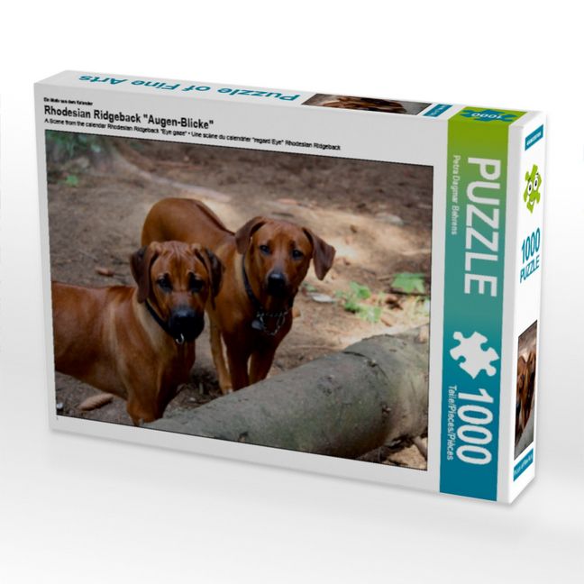 Produktbild: CALVENDO Puzzle Rhodesian Ridgeback | 1000 Teile Lege-Gr&ouml;&szlig;e 64x48cm Foto-Puzzle f&uuml;r gl&uuml;ckliche Stunden