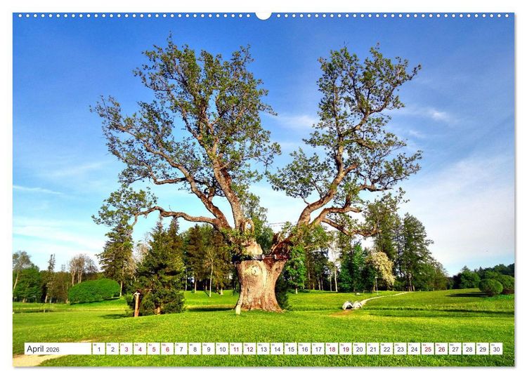 Produktbild: Gr&uuml;nes Estland - Naturparadies am Baltischen Meer (Wandkalender 2026 DIN A2 quer), CALVENDO Monatskalender
