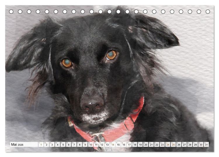 Produktbild: Niedliche Hunde - Digitale Aquarelle (Tischkalender 2026 DIN A5 quer), CALVENDO Monatskalender