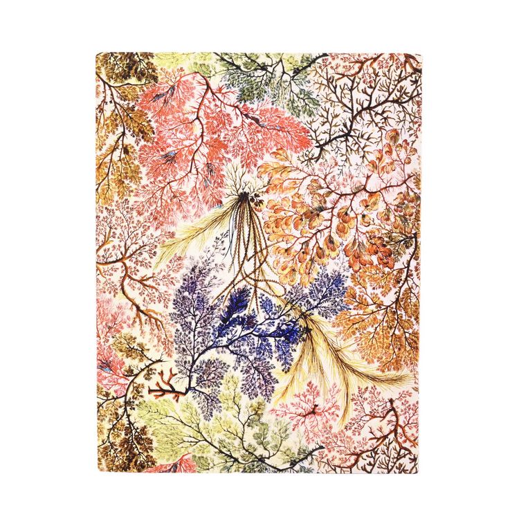 Produktbild: Softcover Notizbuch, Anemone, Ultra, Liniert