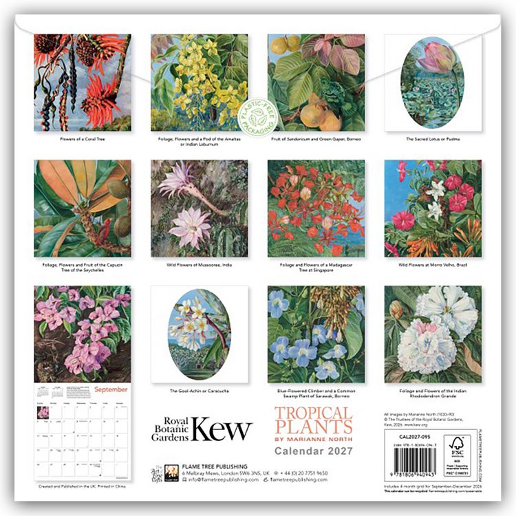 Produktbild: Marianne North, Tropical Plants &ndash; Tropische Pflanzen 2027 &ndash; Original Flame Tree Publishing-Kalender [Kalender]