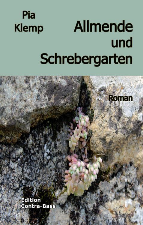 Produktbild: Allmende und Schrebergarten