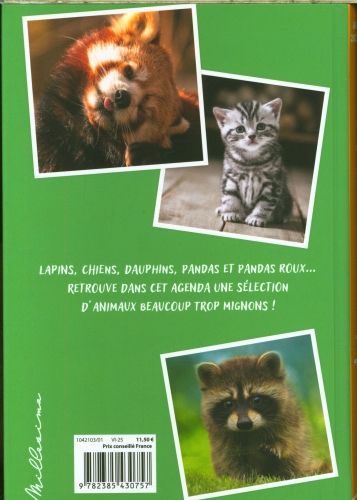 Produktbild: Animaux trop mignons : agenda 2025 2026