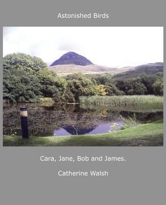 Produktbild: Astonished Birds Cara, Jane, Bob and James.