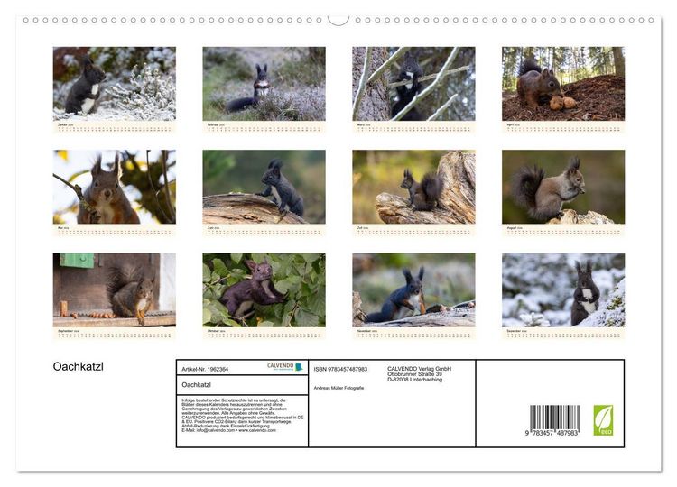 Produktbild: Oachkatzl (hochwertiger Premium Wandkalender 2026 DIN A2 quer), Kunstdruck in Hochglanz