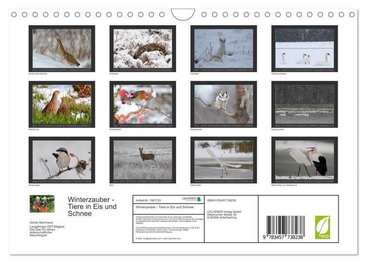 Produktbild: Winterzauber - Tiere in Eis und Schnee (Wandkalender 2026 DIN A4 quer), CALVENDO Monatskalender
