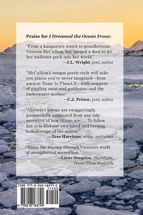 Produktbild: I Dreamed the Ocean Froze