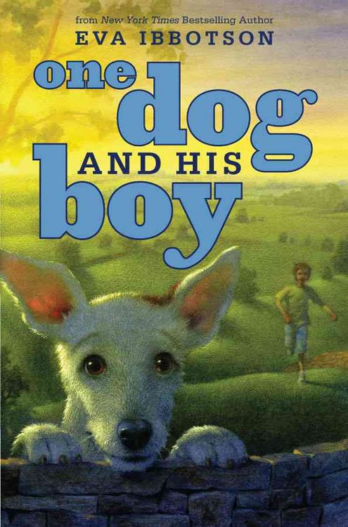 Produktbild: 1 Dog & His Boy