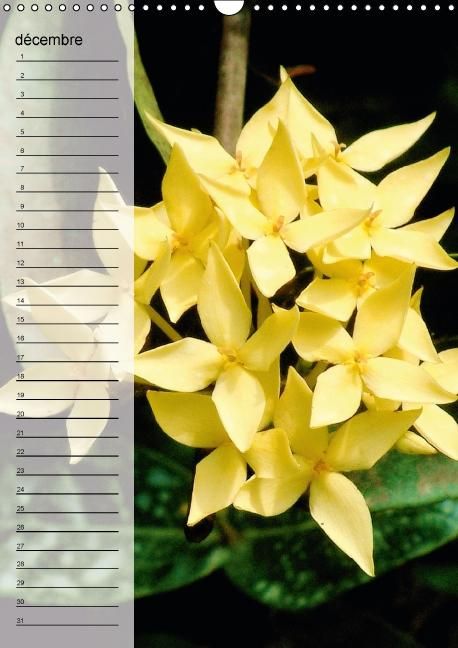 Produktbild: Blank, R: Fleurs tropicales / calendrier anniversaire (Calen