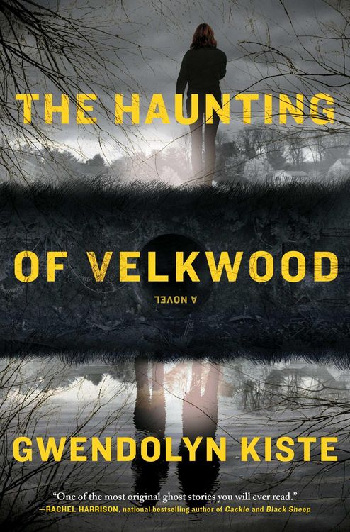 Produktbild: The Haunting of Velkwood
