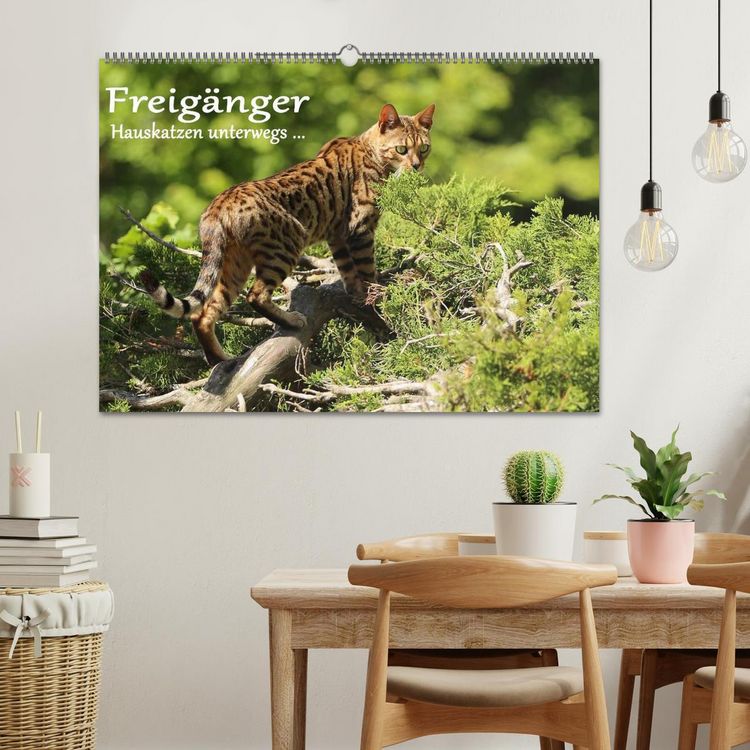 Produktbild: Freig&auml;nger - Hauskatzen unterwegs (Wandkalender 2026 DIN A2 quer), CALVENDO Monatskalender