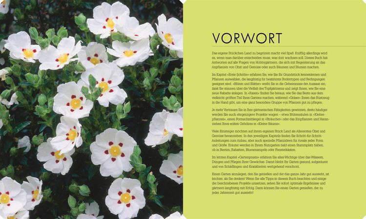 Produktbild: So geht Garten
