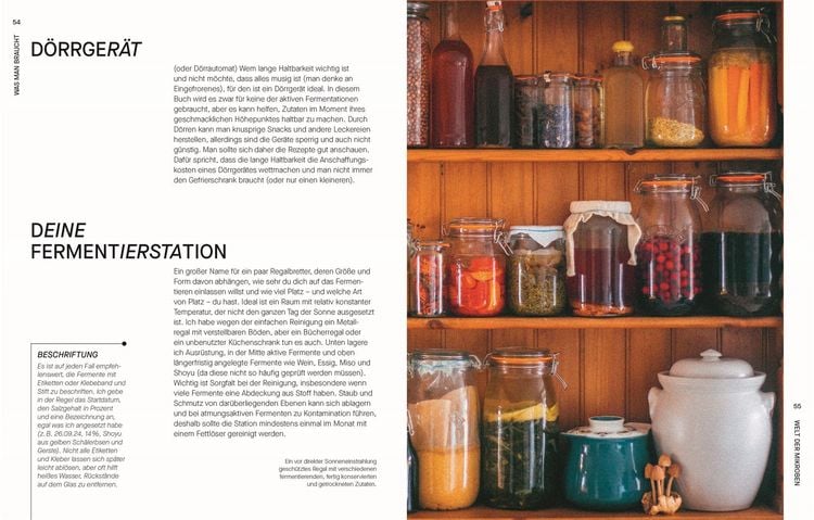 Produktbild: Fermentieren. Rezepte und Techniken f&uuml;r Geschmack, den man nicht kaufen kann