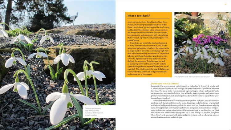 Produktbild: The Plant Lover's Guide to Snowdrops