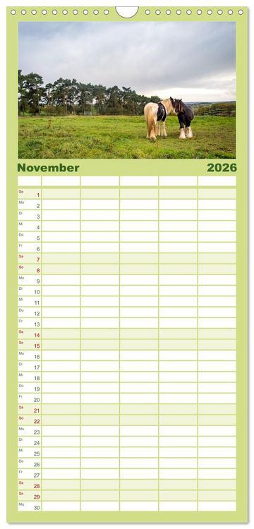 Produktbild: Familienplaner 2026 - Nationalpark Eifel - Sch&ouml;ne Tage im Gr&uuml;nen mit 5 Spalten (Wandkalender, 21 x 45 cm) CALVENDO