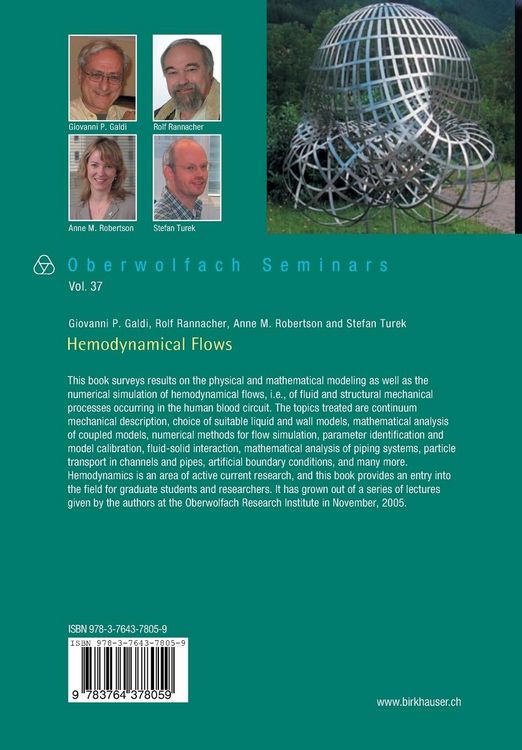 Produktbild: Hemodynamical Flows